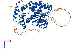 AlphaFold protein structure predicition of Human Recombinant CLVS1 Protein, UniprotID Q8IUQ0