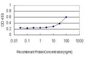 Detection limit for recombinant GST tagged LFNG is approximately 3ng/ml as a capture antibody. (LFNG anticorps  (AA 1-250))