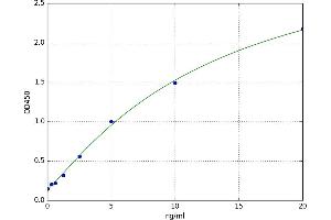 CD2 (CD2) ELISA Kit