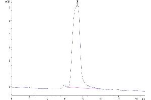 The purity of Mouse CX3CL1 is greater than 95 % as determined by SEC-HPLC.