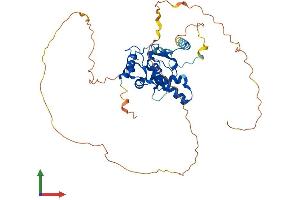 AlphaFold protein structure predicition of Human Recombinant NFIB Protein, UniprotID O00712