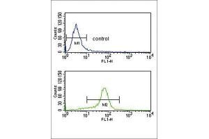 Flow Cytometry (FACS) image for anti-Calcium Channel, Voltage-Dependent, alpha 2/delta Subunit 1 (CACNA2D1) antibody (ABIN3003877)