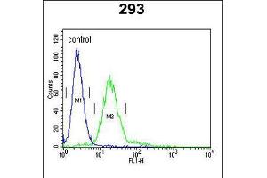 Flow cytometric analysis of 293 cells (right histogram) compared to a negative control cell (left histogram). (MPP6 anticorps  (AA 360-388))
