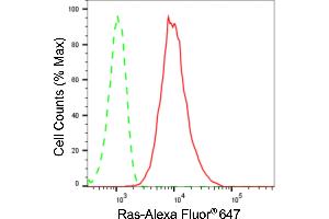 Flow cytometric analysis of Ras expression in HepG2 cells using Ras antibody (ABIN7799627), 1:2,000). (Recombinant NRAS/HRAS/KRAS anticorps)