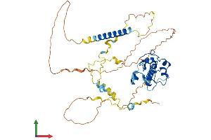 AlphaFold protein structure predicition of Human Recombinant CDCA7L Protein, UniprotID Q96GN5