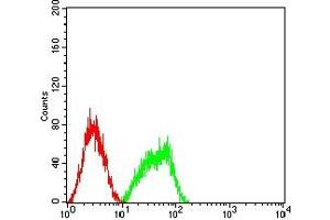 Flow cytometric analysis of HL-60 cells using BCL10 mouse mAb (green) and negative control (red).