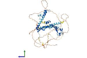 AlphaFold protein structure predicition of Human Recombinant CSRNP2 Protein, UniprotID Q9H175