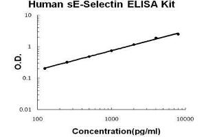 Human sE-Selectin PicoKine ELISA Kit standard curve (Selectin E/CD62e Kit ELISA)
