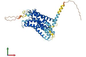 AlphaFold protein structure predicition of Mouse Recombinant Cxcr4 Protein, UniprotID P70658