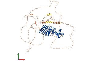 AlphaFold protein structure predicition of Human Recombinant SENP5 Protein, UniprotID Q96HI0