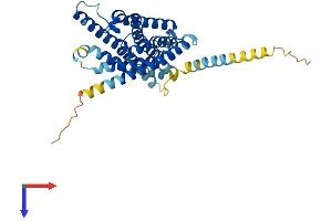 AlphaFold protein structure predicition of Mouse Recombinant Fpr-s1 Protein, UniprotID O08790