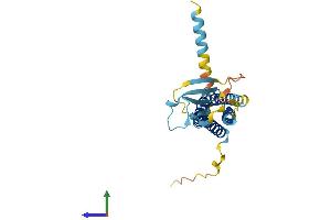 AlphaFold protein structure predicition of Human Recombinant CACNG6 Protein, UniprotID Q9BXT2