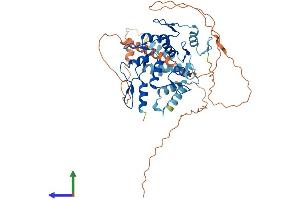 AlphaFold protein structure predicition of Human Recombinant ZSCAN30 Protein, UniprotID Q86W11
