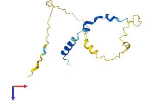 AlphaFold protein structure predicition of Human Recombinant PNRC2 Protein, UniprotID Q9NPJ4
