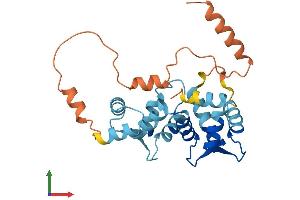 AlphaFold protein structure predicition of Human Recombinant KCNIP4 Protein, UniprotID Q6PIL6