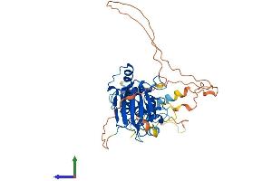 AlphaFold protein structure predicition of Mouse Recombinant Smad7 Protein, UniprotID O35253
