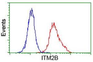 Image no. 3 for anti-Integral Membrane Protein 2B (ITM2B) antibody (ABIN1496395) (ITM2B anticorps)