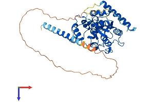 AlphaFold protein structure predicition of Mouse Recombinant Chst9 Protein, UniprotID Q76EC5
