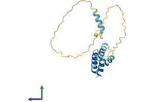 AlphaFold protein structure predicition of Human Recombinant CT45A3 Protein, UniprotID Q8NHU0