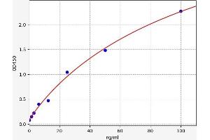 Cross Linked N-Telopeptide of Type I Collagen (NTX-I) ELISA Kit