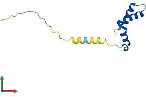 AlphaFold protein structure predicition of Mouse Recombinant Dpy30 Protein, UniprotID Q99LT0