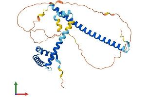 AlphaFold protein structure predicition of Mouse Recombinant Fsbp Protein, UniprotID Q8BKE5
