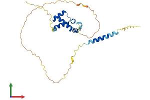 AlphaFold protein structure predicition of Human Recombinant TGIF2 Protein, UniprotID Q9GZN2