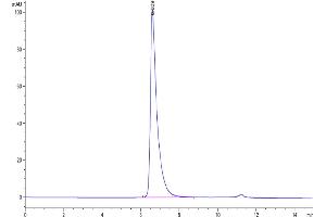 The purity of Human Nectin-2 is greater than 95 % as determined by SEC-HPLC.