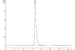 The purity of Human Nectin-2 is greater than 95 % as determined by SEC-HPLC. (PVRL2 Protein (AA 32-360) (His-Avi Tag))