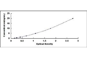 Typical standard curve (LACTB Kit ELISA)