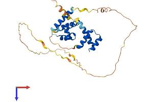 AlphaFold protein structure predicition of Human Recombinant POU1F1 Protein, UniprotID P28069