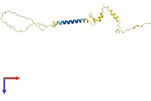 AlphaFold protein structure predicition of Human Recombinant NSG2 Protein, UniprotID Q9Y328