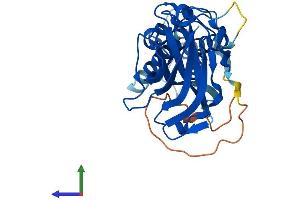 AlphaFold protein structure predicition of Mouse Recombinant Aida Protein, UniprotID Q8C4Q6