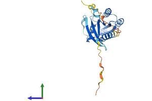 AlphaFold protein structure predicition of Mouse Recombinant Rab17 Protein, UniprotID P35292