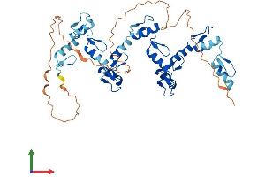 AlphaFold protein structure predicition of Human Recombinant ZNF70 Protein, UniprotID Q9UC06