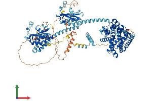 AlphaFold protein structure predicition of Mouse Recombinant Pde11a Protein, UniprotID P0C1Q2