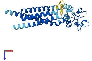 AlphaFold protein structure predicition of Mouse Recombinant Tspan9 Protein, UniprotID Q8BJU2