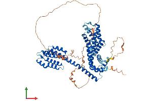 AlphaFold protein structure predicition of Mouse Recombinant Tcp11 Protein, UniprotID Q01755