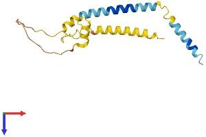 AlphaFold protein structure predicition of Mouse Recombinant Fam162a Protein, UniprotID Q9D6U8