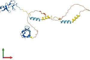 AlphaFold protein structure predicition of Human Recombinant LASP1 Protein, UniprotID Q14847