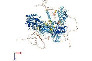 AlphaFold protein structure predicition of Human Recombinant MAP3K5 Protein, UniprotID Q99683