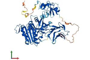 AlphaFold protein structure predicition of Human Recombinant CYB5R4 Protein, UniprotID Q7L1T6