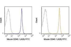Flow Cytometry of anti-CD45. (CD45.1 anticorps  (FITC))