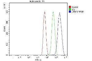 Flow Cytometry analysis of U87 cells using anti-CTBP2 antibody (ABIN7601326). (CTBP2 anticorps  (AA 321-445))