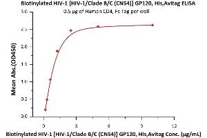 Immobilized Human CD4, Fc Tag (ABIN2180789,ABIN2180788) at 5 μg/mL (100 μL/well) can bind Biotinylated HIV-1 [HIV-1/Clade B/C (CN54)] GP120, His,Avitag (6) with a linear range of 0. (Human Immunodeficiency Virus Surface Glycoprotein (HIV gp120) (AA 36-507) (Active) protein (His tag,AVI tag,Biotin))