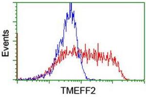 HEK293T cells transfected with either RC203736 overexpress plasmid (Red) or empty vector control plasmid (Blue) were immunostained by anti-TMEFF2 antibody (ABIN2455705), and then analyzed by flow cytometry. (TMEFF2 anticorps)