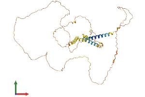 AlphaFold protein structure predicition of Human Recombinant AJAP1 Protein, UniprotID Q9UKB5