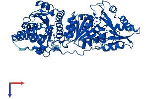 AlphaFold protein structure predicition of Human Recombinant TKT Protein, UniprotID P29401