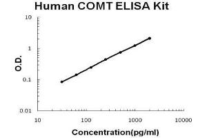 Human COMT PicoKine ELISA Kit standard curve