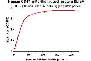 ELISA plate pre-coated by 2 μg/mL (100 μL/well) Human CD47, mFc-His tagged protein (ABIN6961081, ABIN7042191 and ABIN7042192) can bind its native ligand Human SIRPα, hFc-His tagged protein ABIN6961082, ABIN7042193 and ABIN7042194 in a linear range of 3.